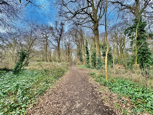 Coppetts Wood Local Nature Reserve