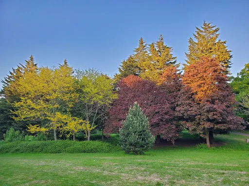 Hanger Hill Park