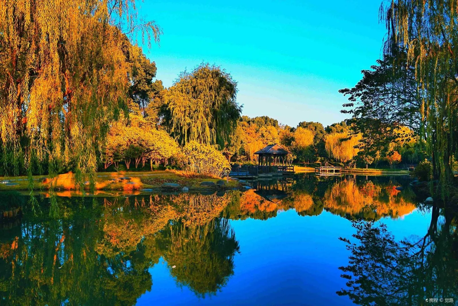 Anting Ancient Tree Park