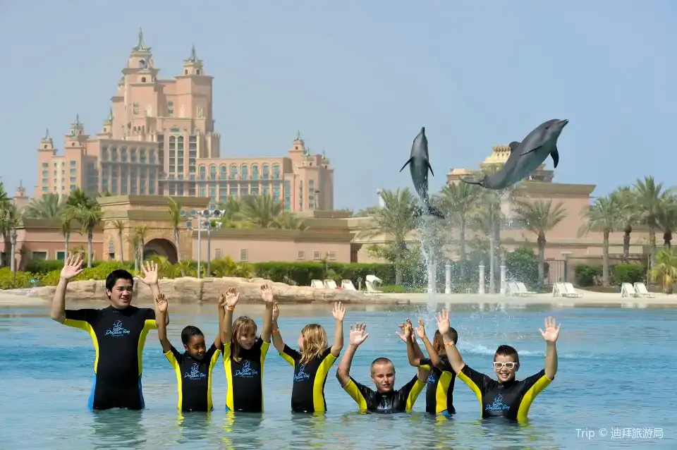 Dolphin Bay at Aquaventure World