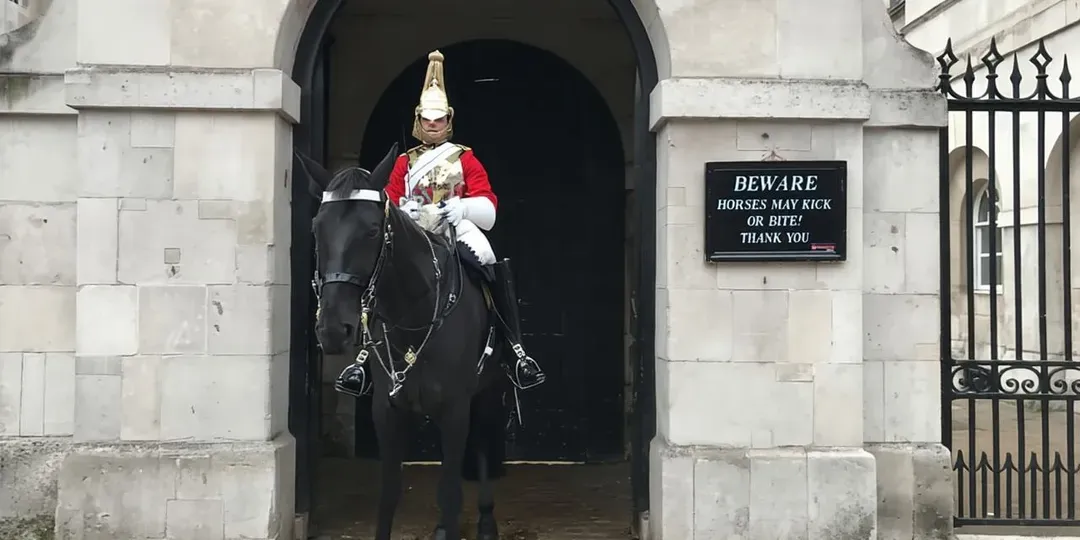 London: Ultimate One-Day Tour with Tower, Abbey & Cruise