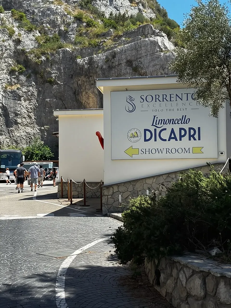 From Rome: Best of Pompeii Guided Tour and Sorrento Day Trip