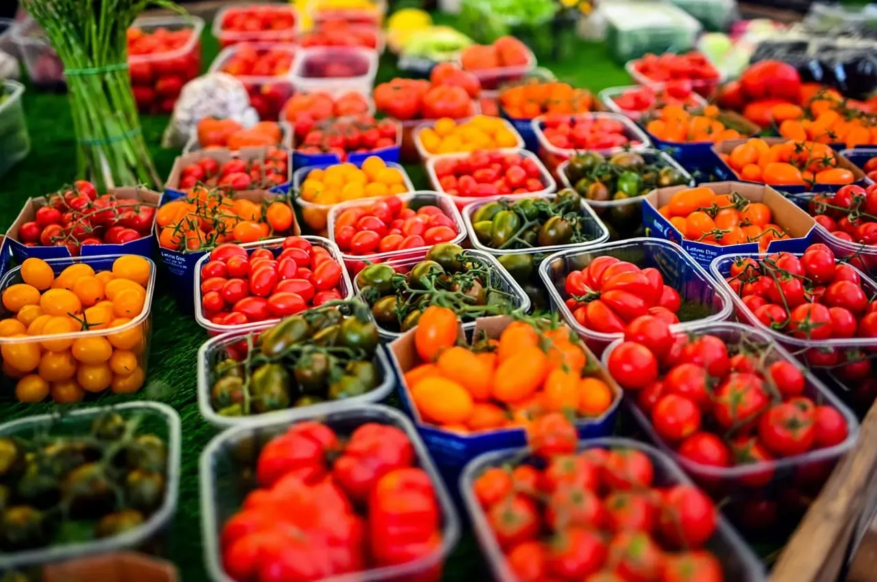 Rome: Food Tour in Campo dei Fiori with 8+ Food Tastings