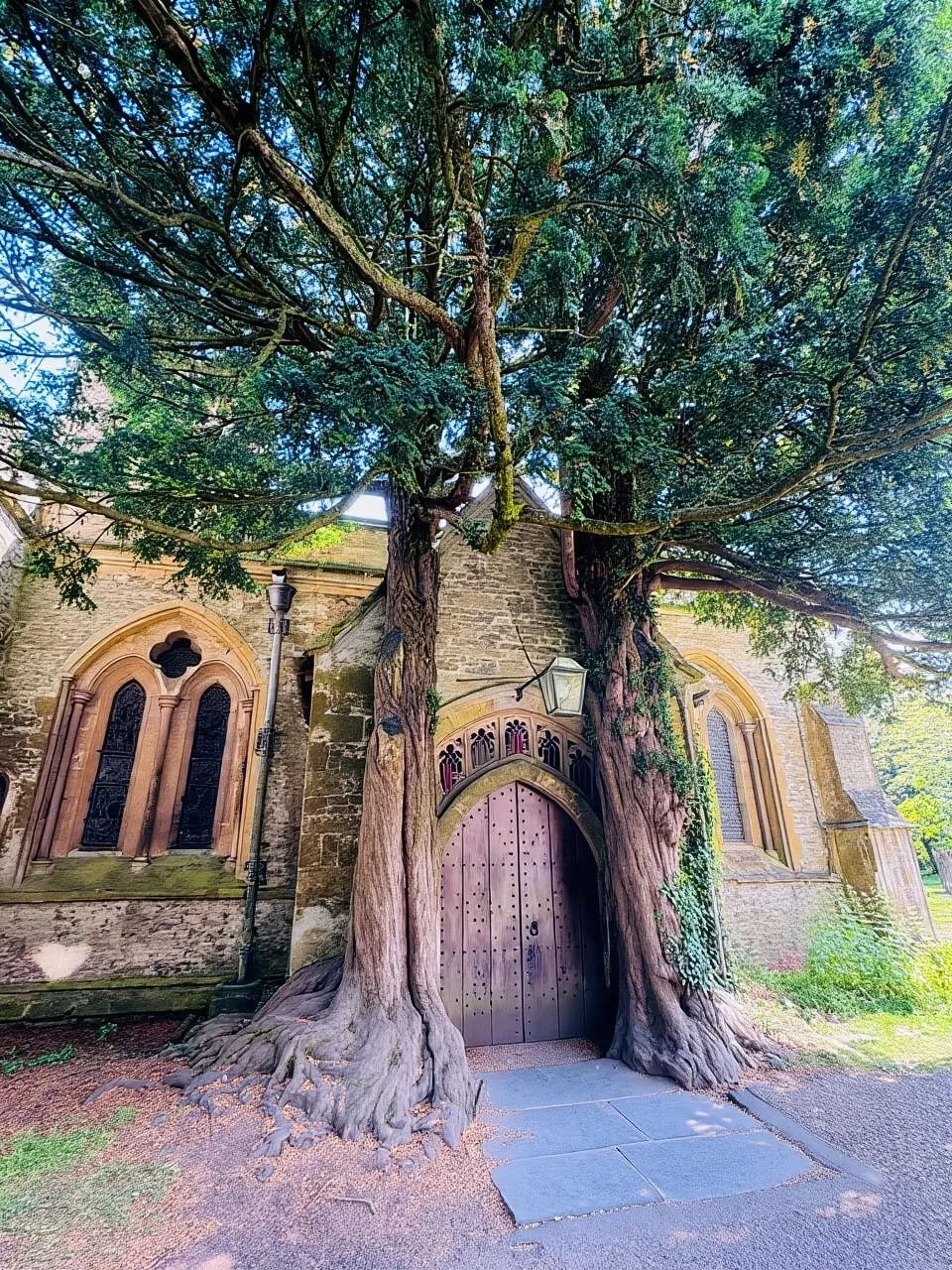 From London: Full-day Cotswolds Tour with Optional Lunch