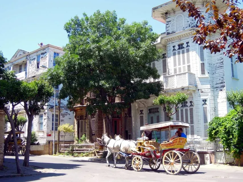 Istanbul: Prince islands Tour w/ Lunch and transfer options