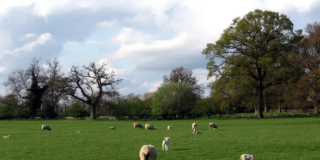 From London: Oxford, Stratford-upon-Avon & Cotswolds Trip
