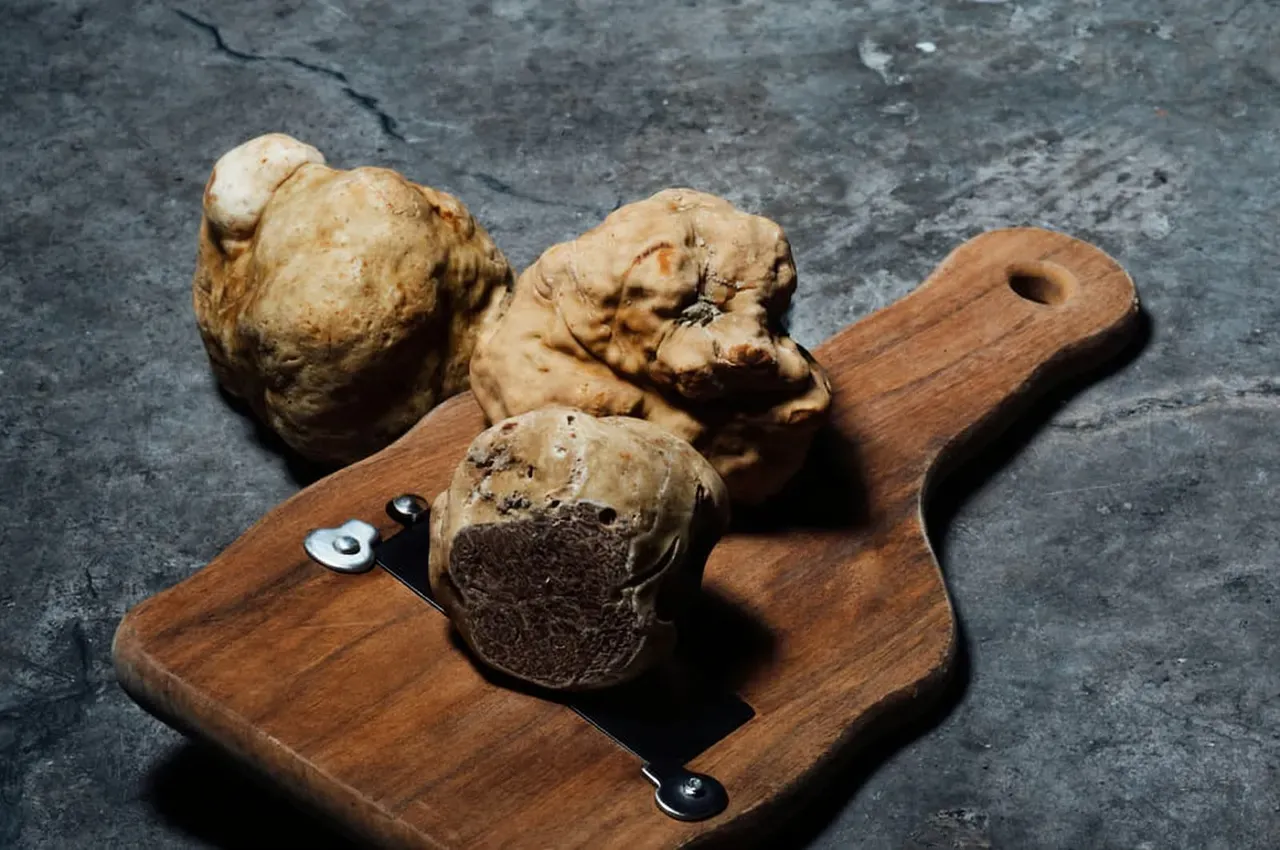Rome: Award-Winning Roman Food Tours