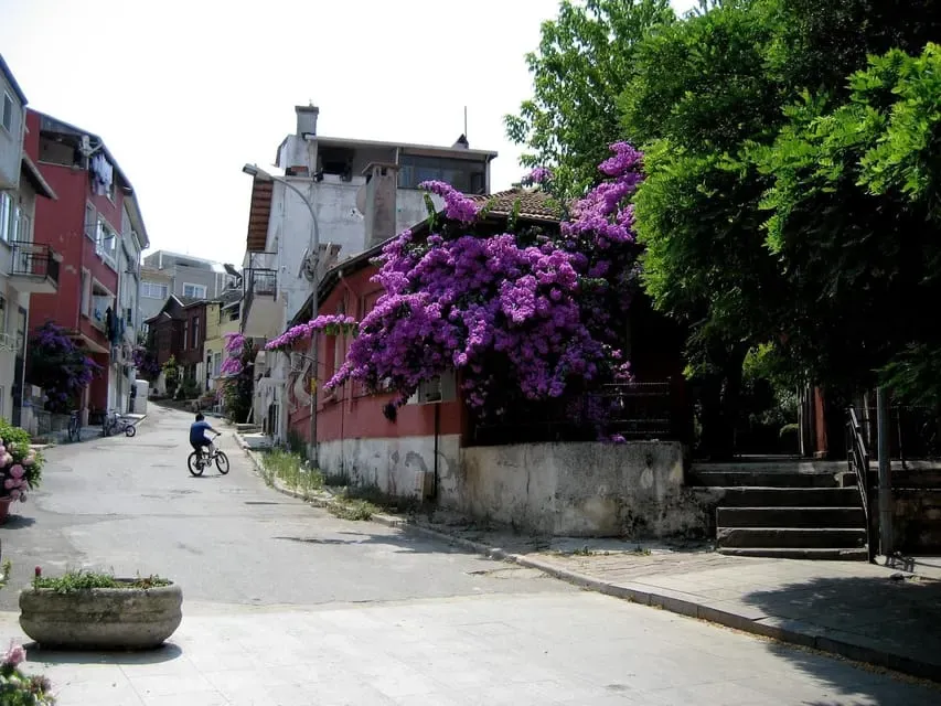From Istanbul: Princess Islands Guided Day Trip by Ferry