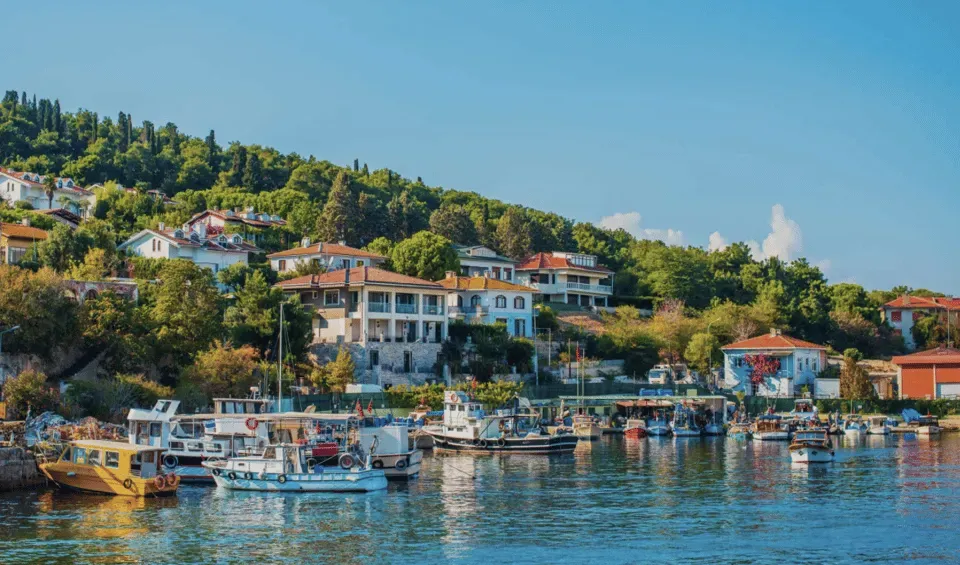 Istanbul:Princess Island & Island Electric Car Trip